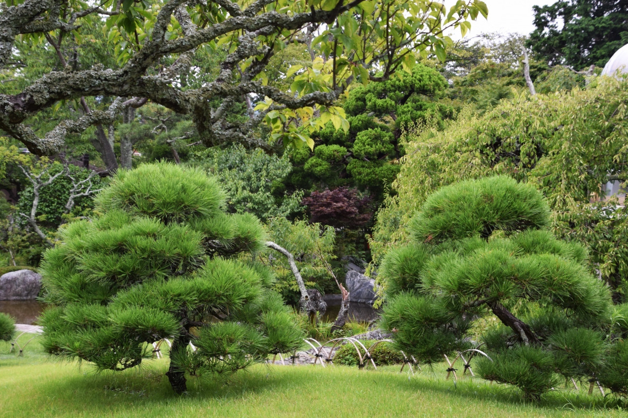 株式会社山岡造園